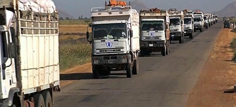 Embassies and UN Mission in South Sudan Condemn Attack on Humanitarian Convoy in Jonglei State