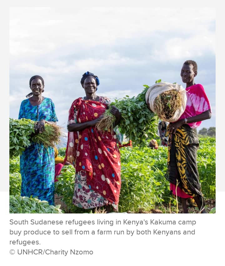 South Sudanese Refugees living in Kenya’s Kakuma Camp buy Produce to sell from a Farm run by both Kenyans and Refugees