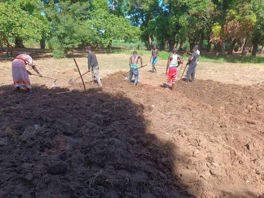 Youth Transformation in Eastern Equatoria State: Over 20 Gang Members in Torit Embrace Farming with Young Farmers Association