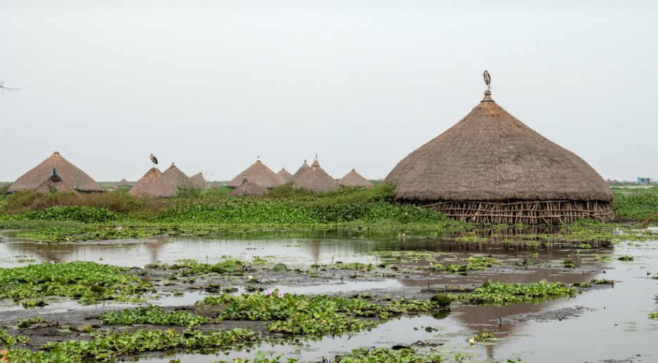 South Sudan Cabinet Allocates $78 Million for Flood Response Plan