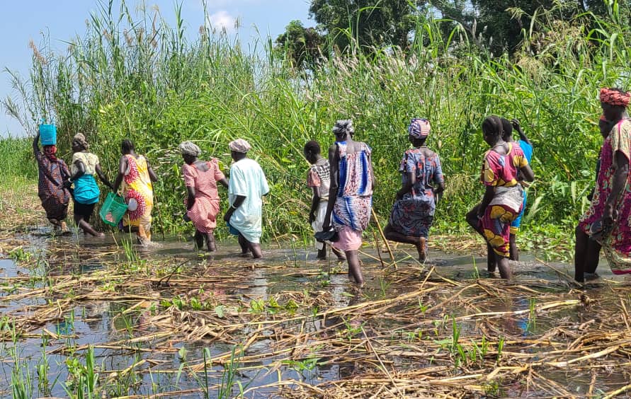 Humanitarian Crisis Unfolds in Ladu Payam as 6,000 IDPs Affected by Flood Due to Land Grabbing